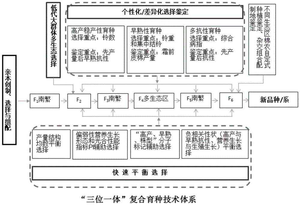 一种高产早熟优质多抗棉花的育种方法