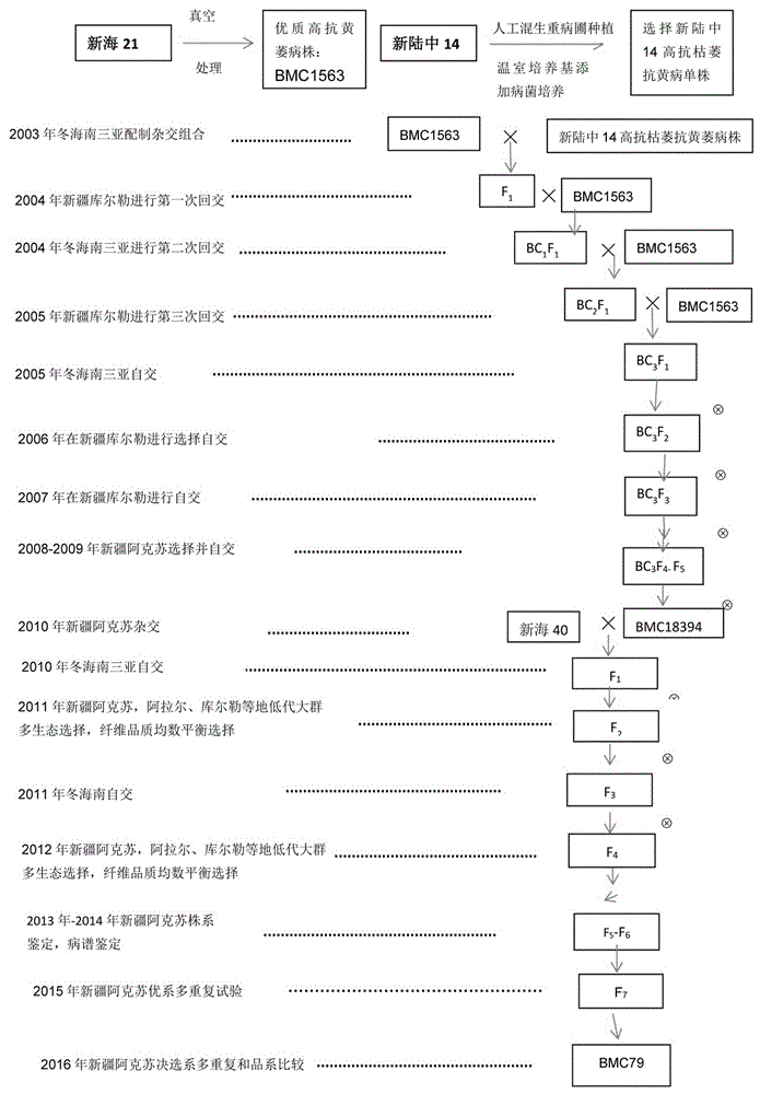 一种可纺精梳360支特细高档纱线的特优长绒棉品种及其选育方法