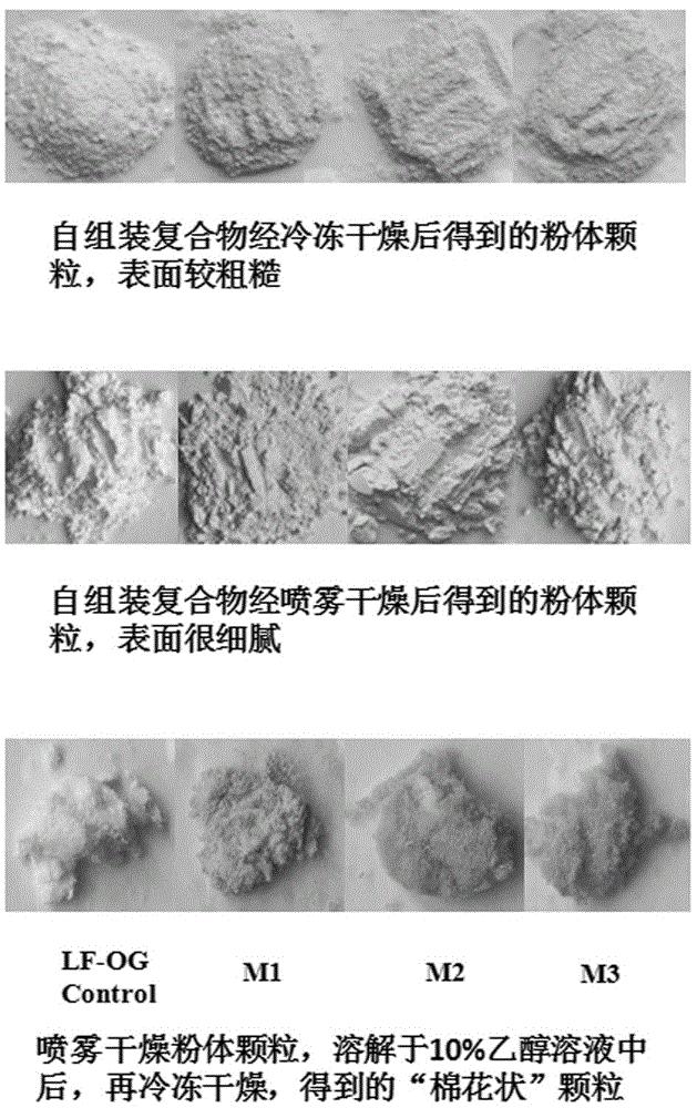 一种基于燕麦β-葡聚糖的澄清型疏水性多酚运载体系及其制备方法