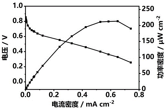 金属-多酚纳米配合物包覆工程化大肠杆菌电催化剂的制备方法及其应用