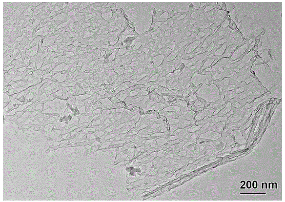  一种具有大孔结构石墨烯纳米网的制备方法