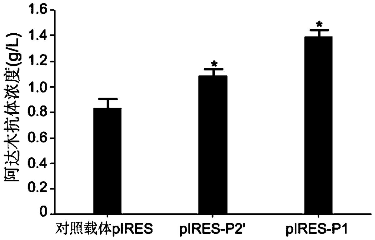 人工合成的内含子、哺乳动物细胞重组表达载体、哺乳动物宿主细胞、表达方法及其应用