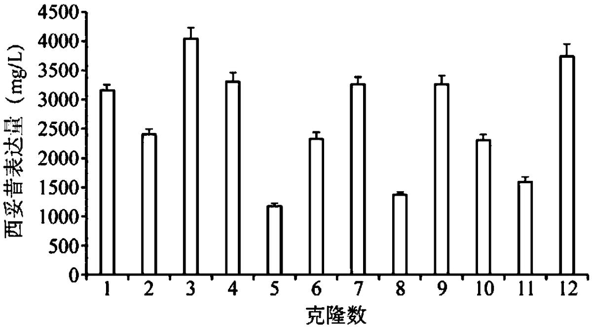 一种人工合成的MAR共有序列、表达载体、表达系统及其应用