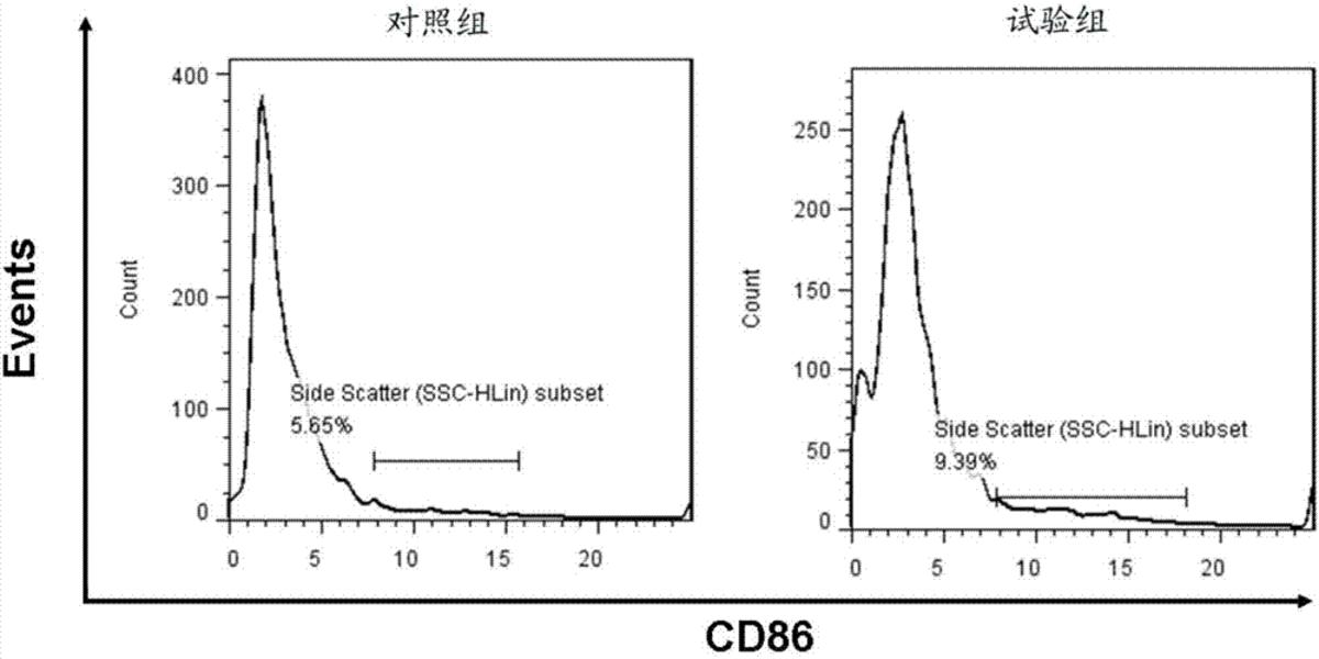 一种新型CpG ODN序列及其在抗黑色素瘤上的应用