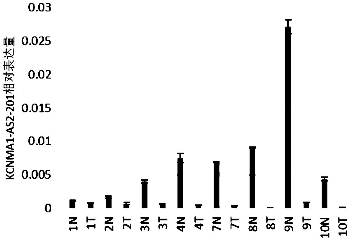 本发明涉及一种lncRNA标志物在制备结直肠癌早期诊断产品中的应用、检测引物、试剂盒，属于基因工程及肿瘤学领域。本发明的lncRNA标志物在制备结直肠癌早期诊断产品中的应用，所述lncRNA标志物为KCNMA1‑AS2‑201，具有如SEQ ID NO.3所示的核苷酸序列。本发明的lncRNA标志物在制备结直肠癌早期诊断产品中的应用，利用该标志物在结直肠癌组织中呈特异性低表达，而在正常组织中没有这