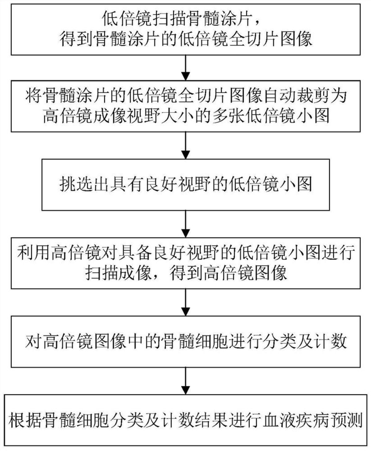 一种基于深度学习的骨髓细胞分类识别方法、装置及系统