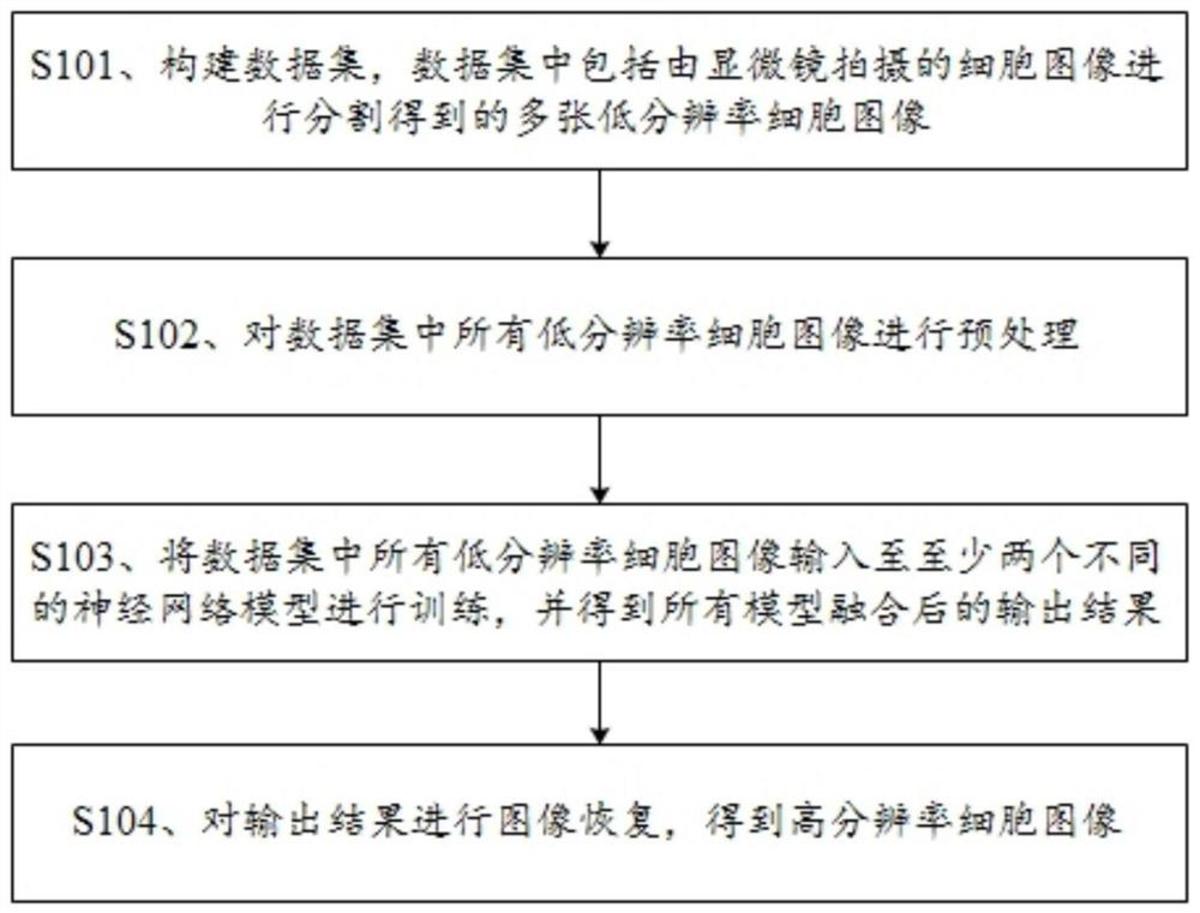 一种超分辨率的细胞图像构建方法和系统