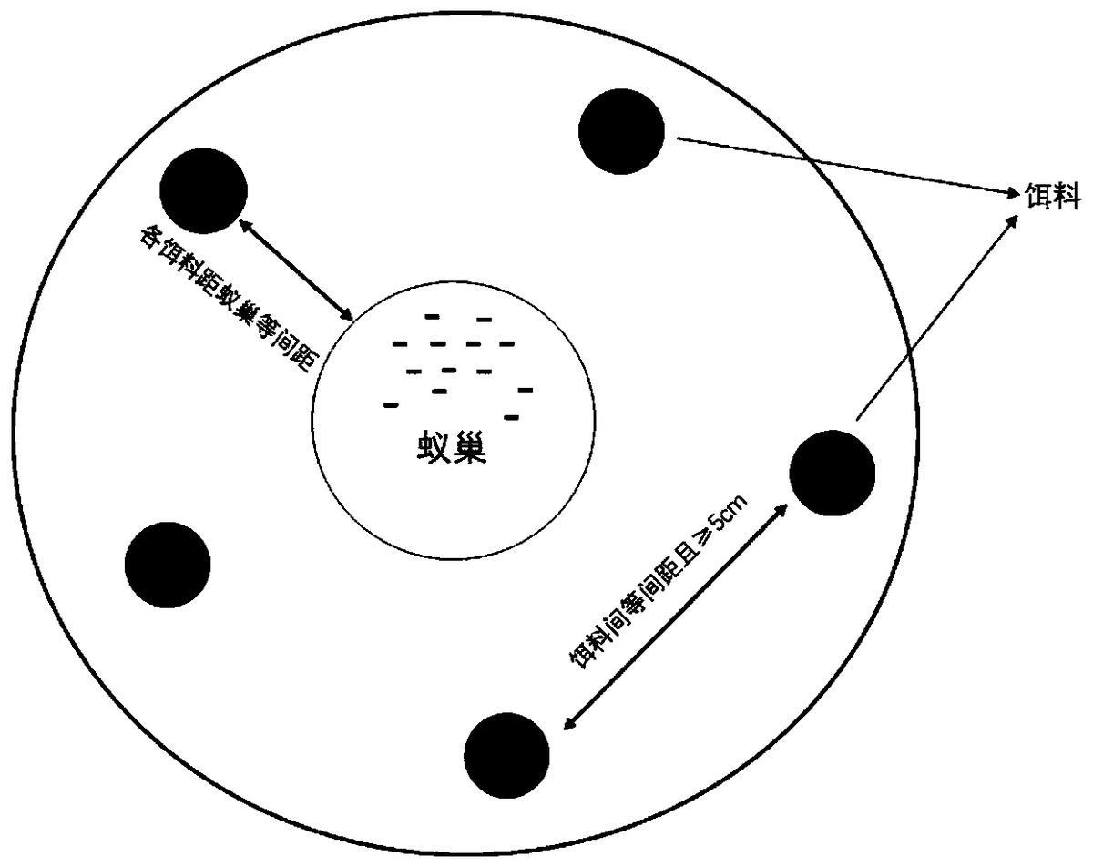 一种红火蚁饵料田间评价方法