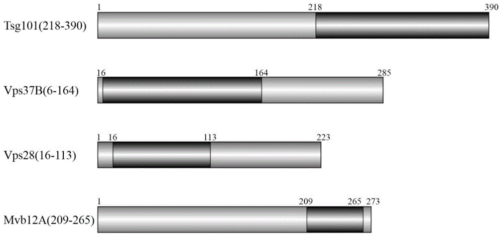 b3ee408291bcd993c1b73197dd8c6761_BIGCN111378688B202010196353.GIF